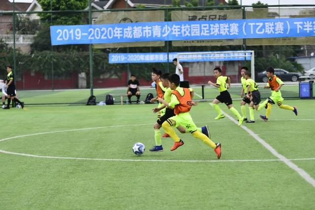 浙江各地麻将玩法大全：从杭州到温州的主流打法详解