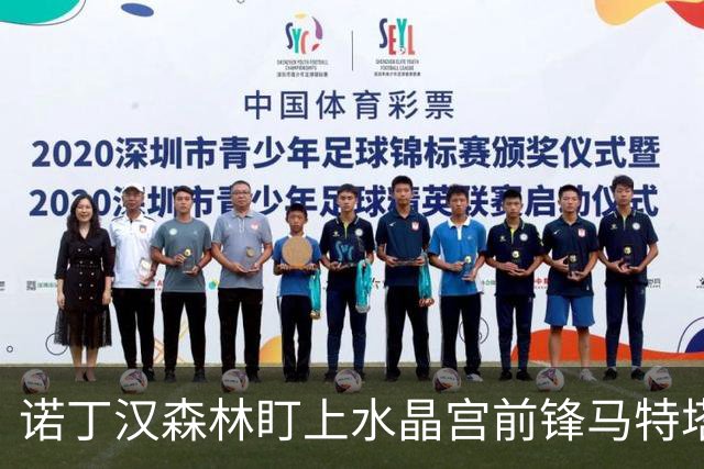 诺丁汉森林盯上水晶宫前锋马特塔，上赛季他进了16个球